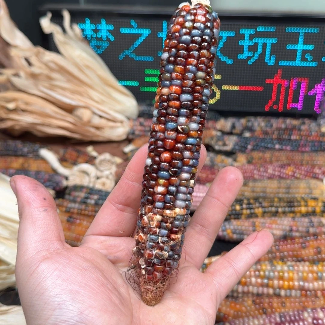 柏香籽/百香籽吊坠啊*啊