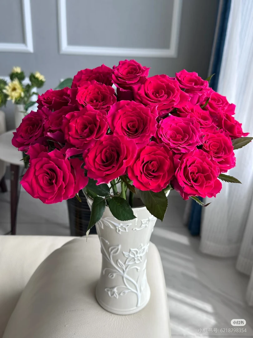 A级高盛玫瑰两单包邮一单或低温不拍保温冻坏不售后