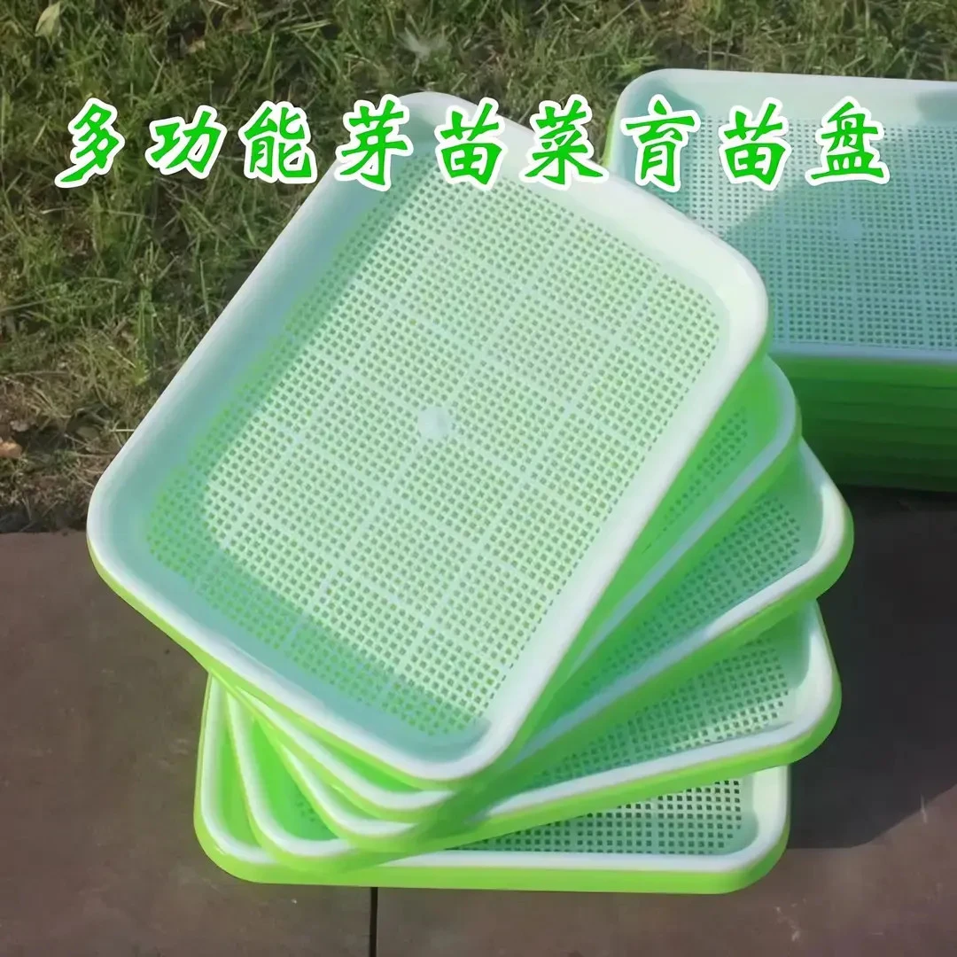 育苗盘阳台种菜盆水培器皿种植盘小麦豆芽无土栽培营养钵加密盘