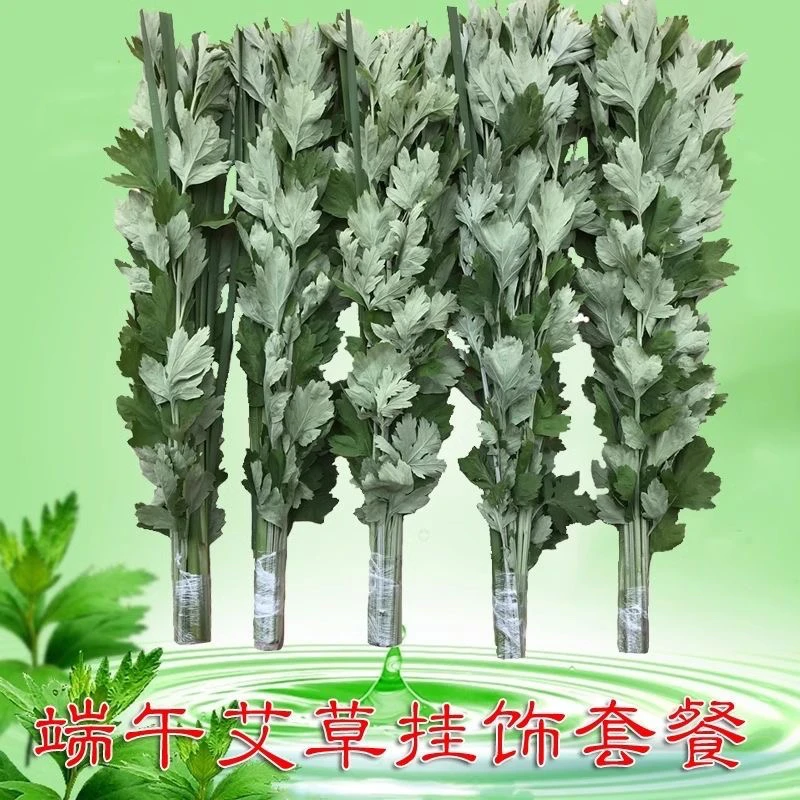 新鲜艾草端午全株艾草叶长颗艾束端午挂门艾蒿香包
