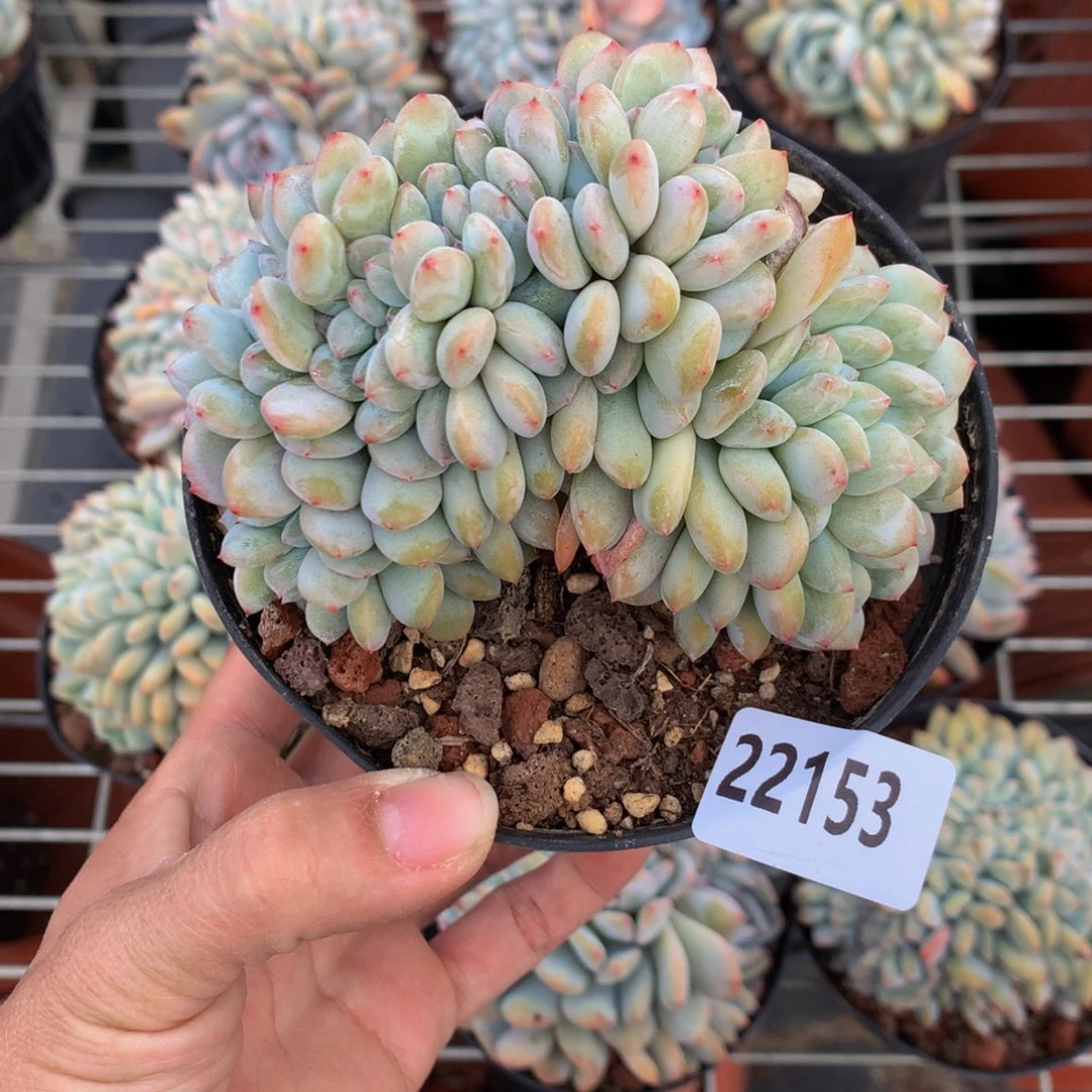 你***好22153缀嗯嗯嗯加油