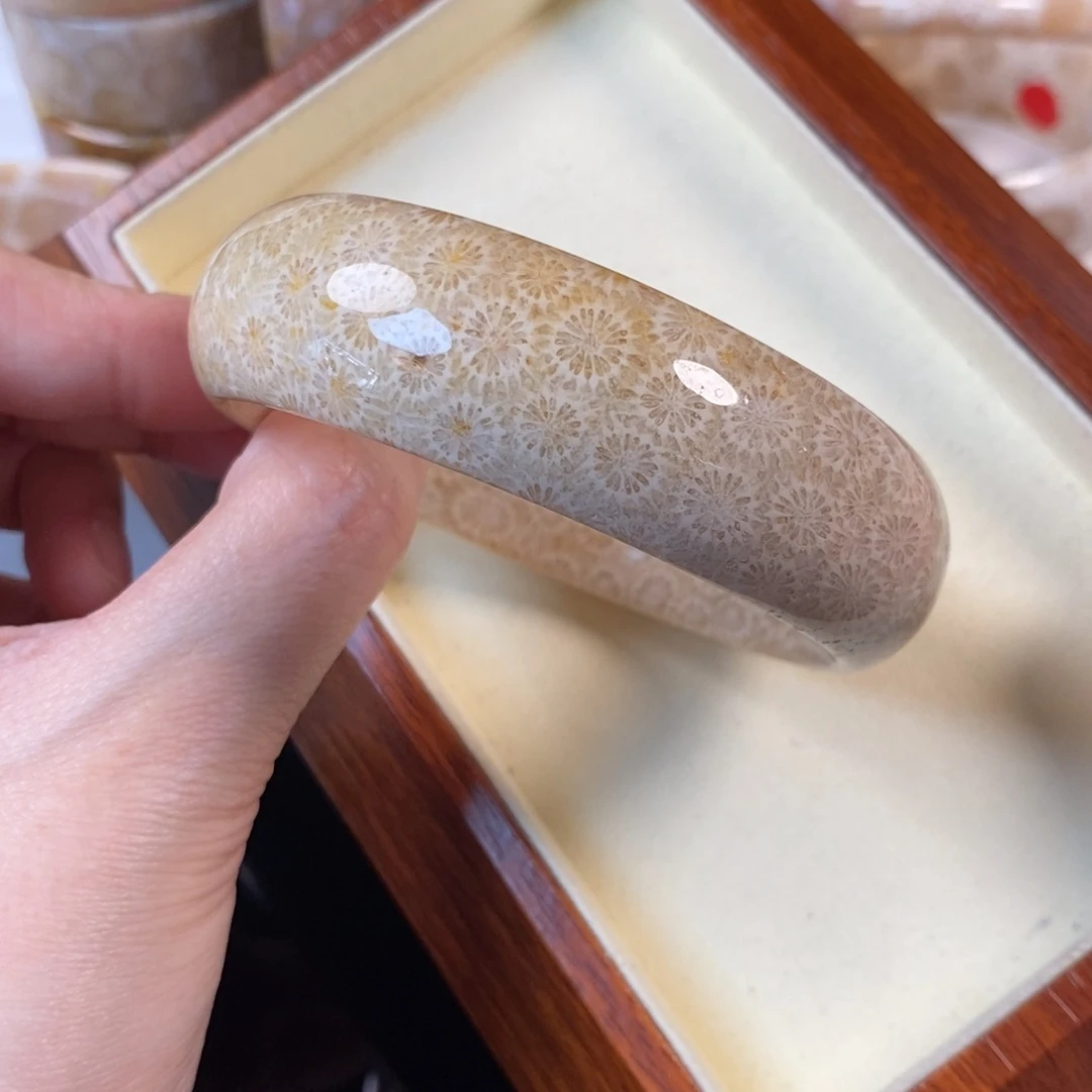 硅化珊瑚（珊瑚玉）未镶嵌手镯62.6口350