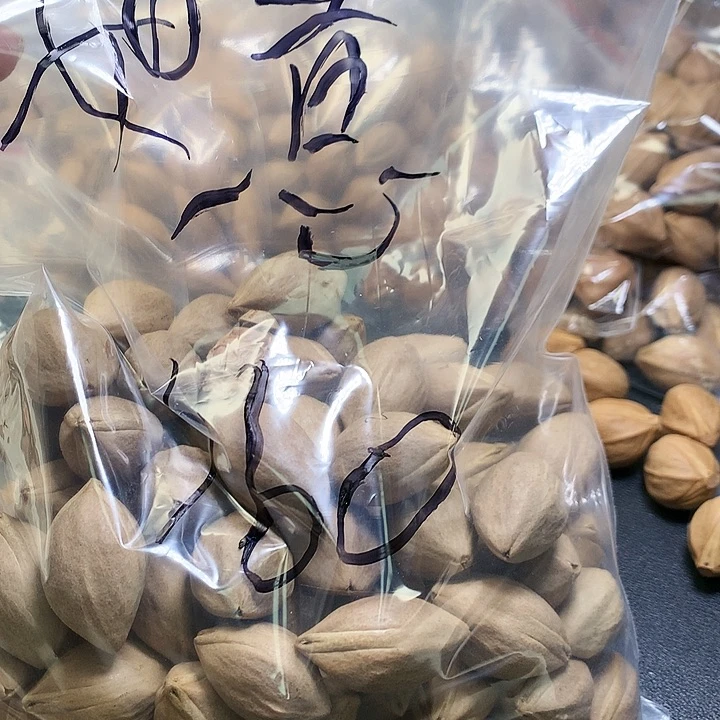 吊坠橄榄核如*苏州橄榄核