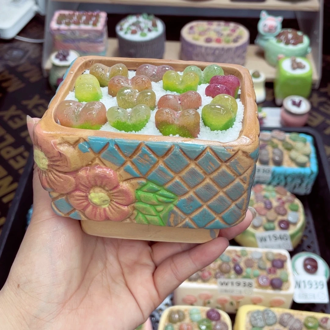w1944 带盆土发货一物一拍