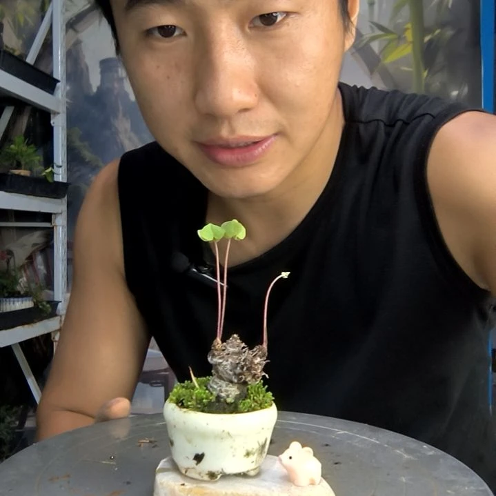 ?****?中青园艺一物一拍72