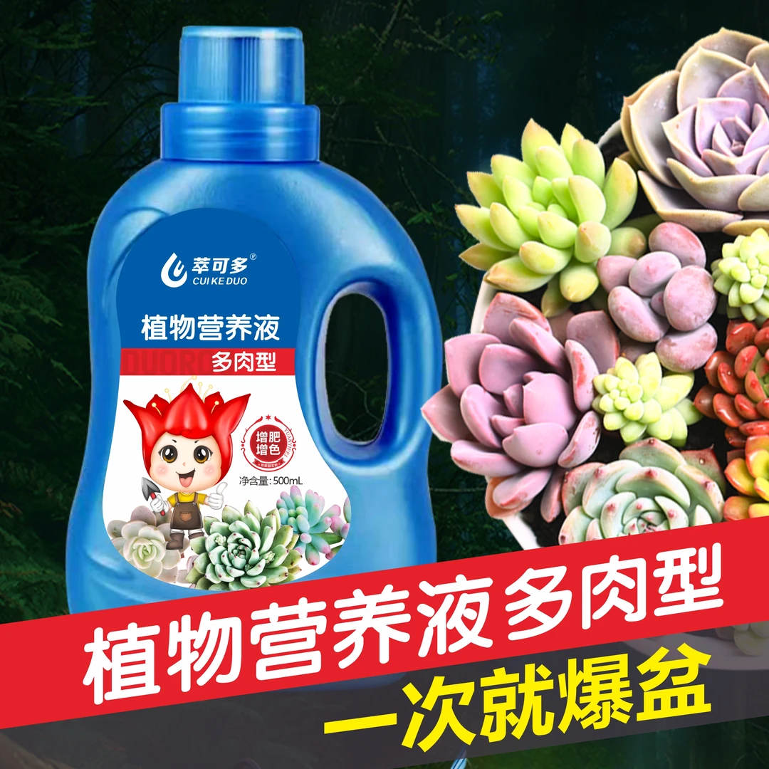 萃可多生长多肉植物室内花卉室内好养活的室内植物好养活的绿植