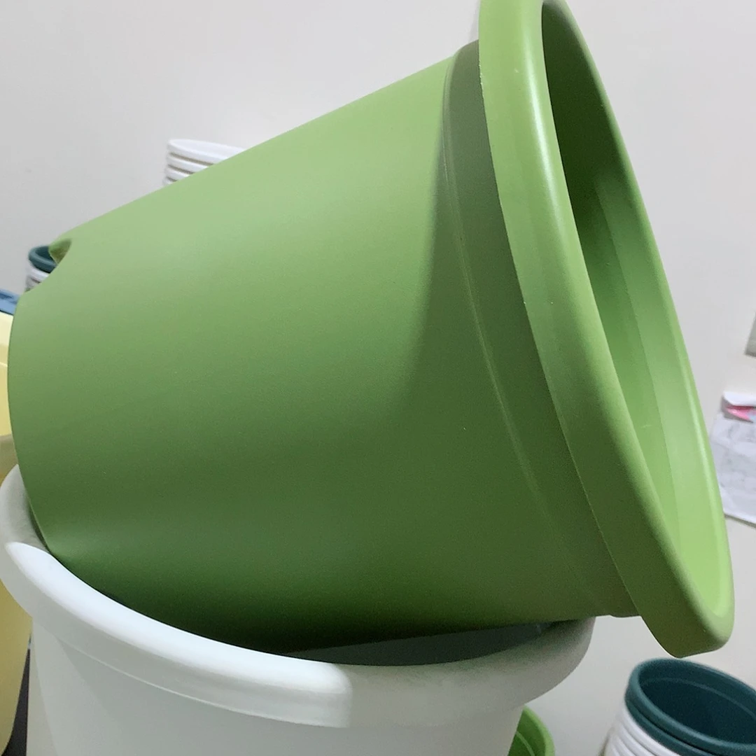 四季口32果绿3个无托