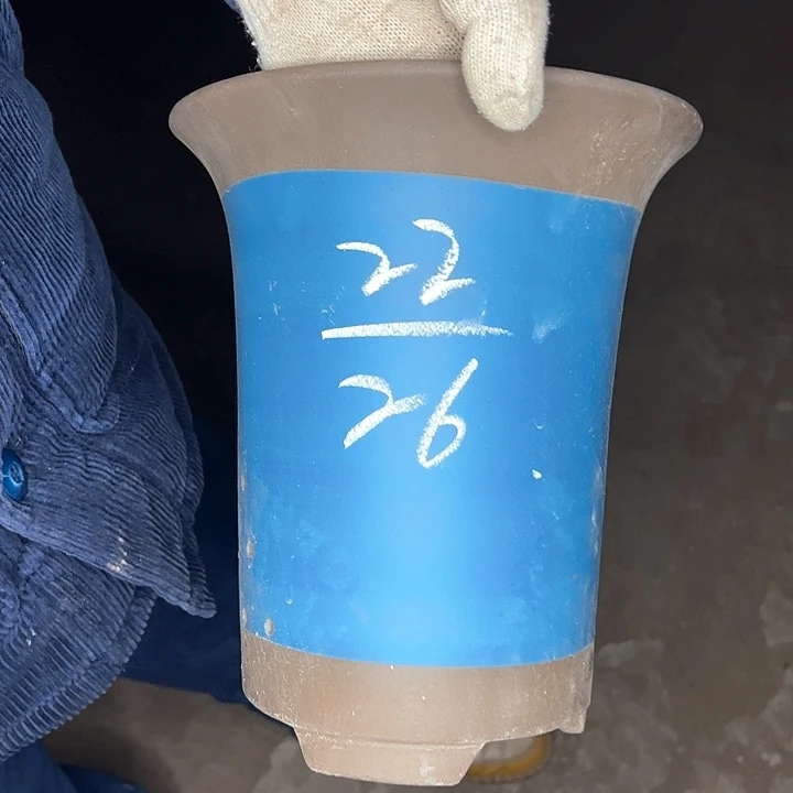 红陶紫砂艺术学院