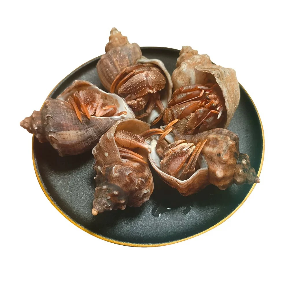 小妹海鲜 大连小渔船 虾怪 寄居蟹 带壳虾怪