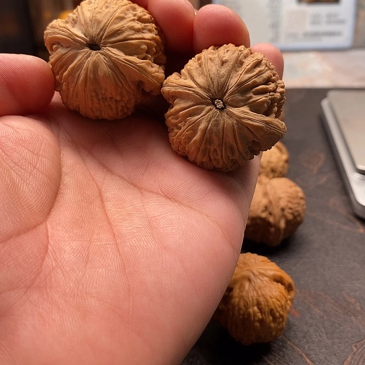 文玩核桃吊坠蛟龙（点修）
