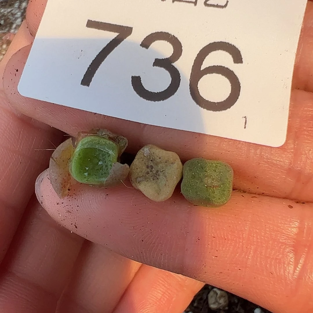 0000736量拍紫方碗3颗尺寸不大