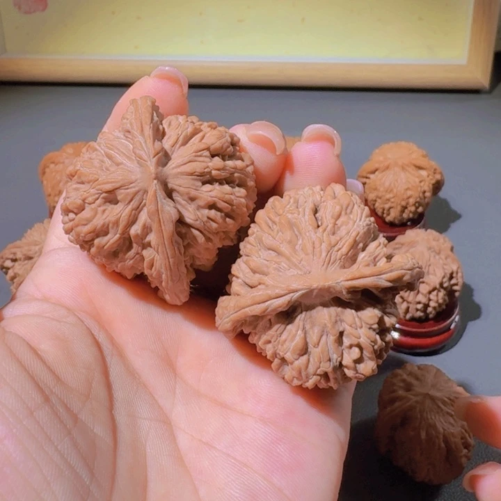 奶****常核桃专用链接，四座楼