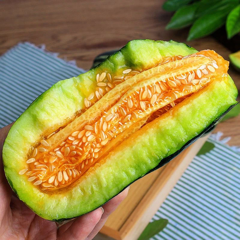 山西头茬博洋十一号现摘甜瓜新鲜脆甜多汁当季香瓜水果