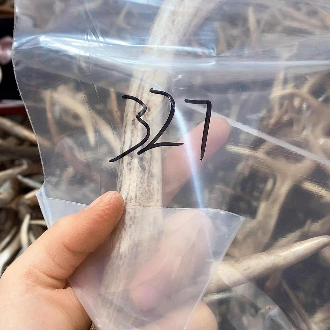 鹿角鹿角鹿角鹿角鹿