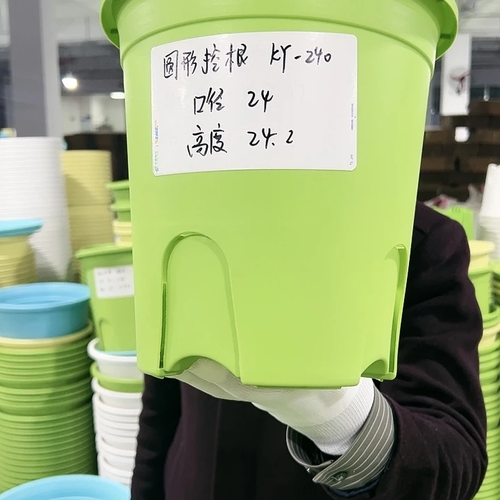 正品圆控口24高24果绿5只无托