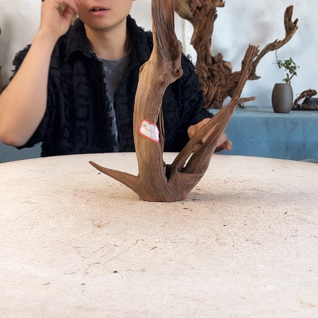 周末福利价沉木造景