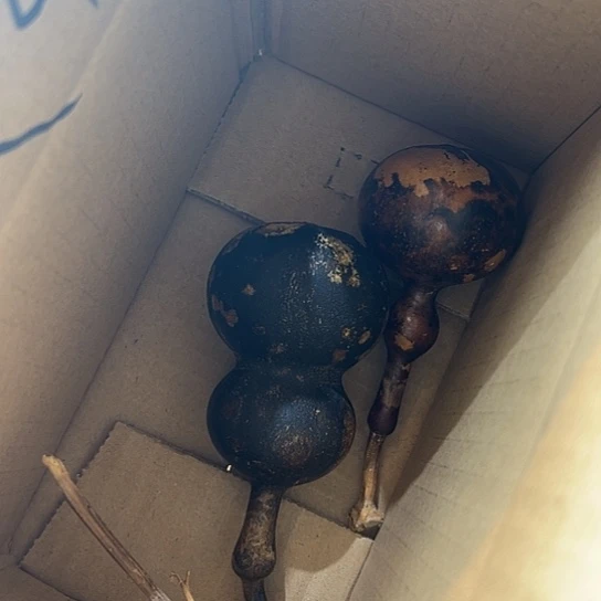 丑****）葫芦葫芦葫芦葫芦