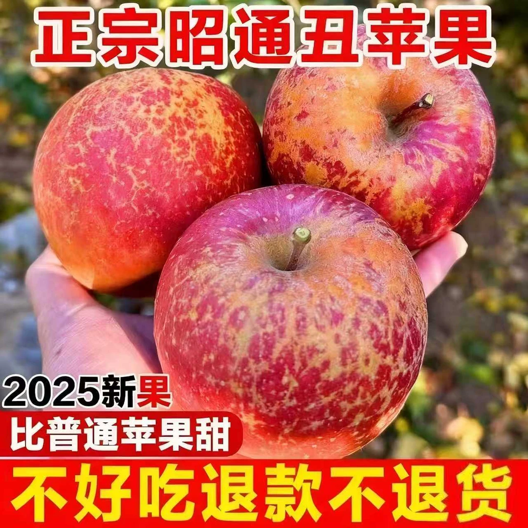 2025云南昭通丑苹果高原红富士脆甜多汁新鲜采摘冰糖心