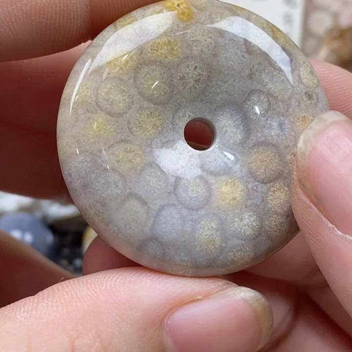 颈饰未镶嵌硅化珊瑚（珊瑚玉）