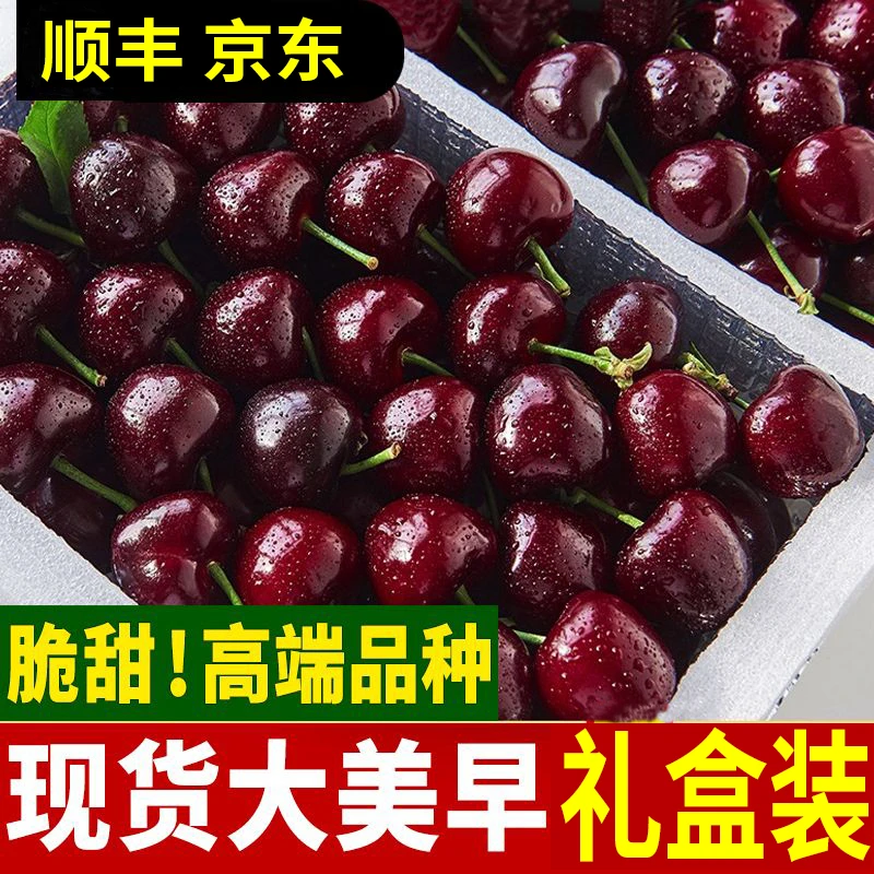 甜❤山东美早樱桃【顺丰/京东】国产车厘子新鲜现摘现发J-4J/2-5斤装