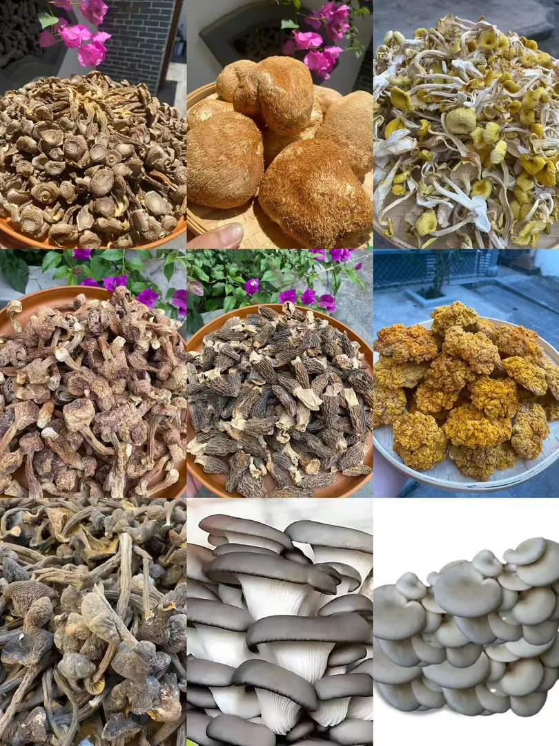 菌子CX0508重量45克可搭配菌类