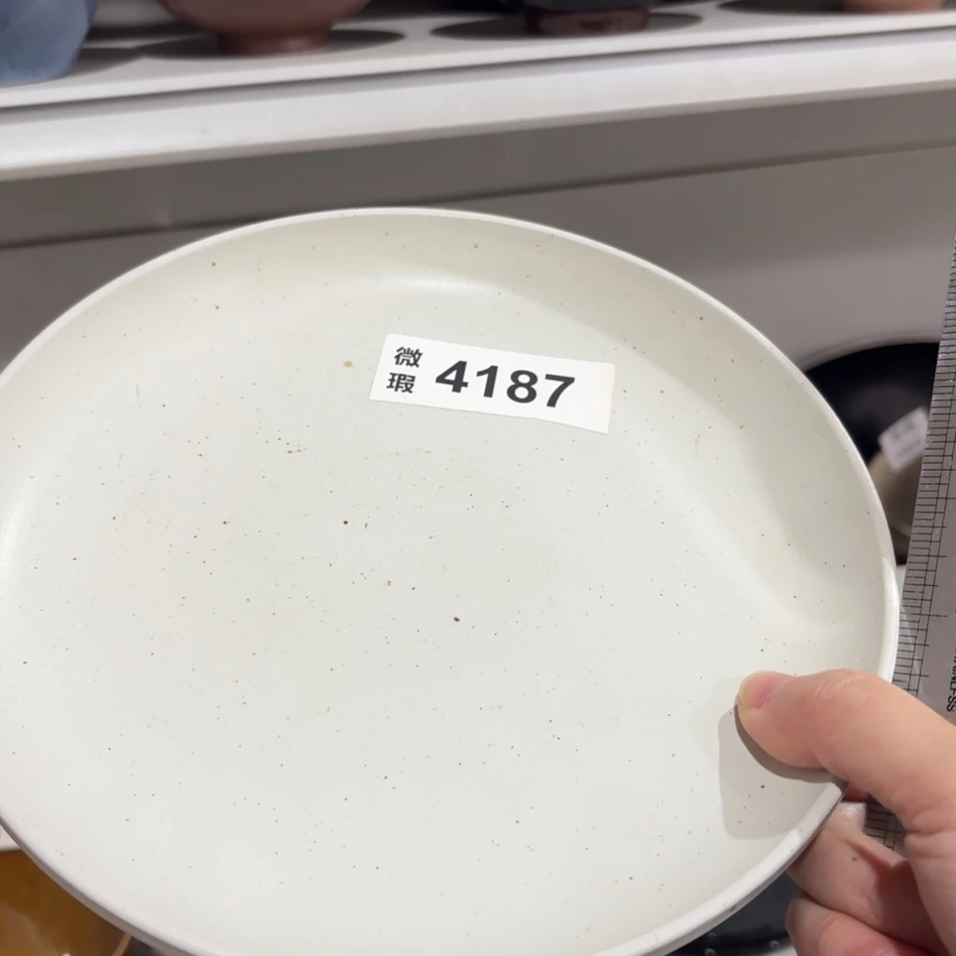 陶瓷4187 微瑕陶瓷餐具2个