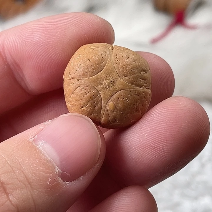 凤眼菩提手串尼泊尔小凤眼