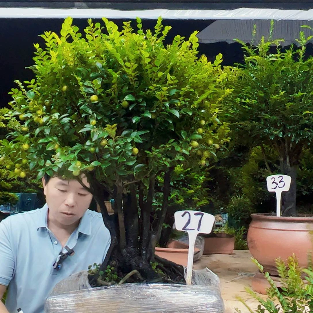 以实际为准睡****丘12345678