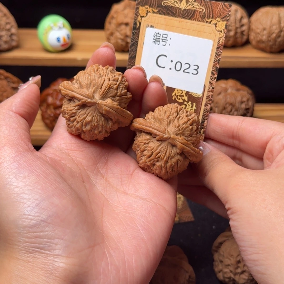 核桃c023白狮子4.2