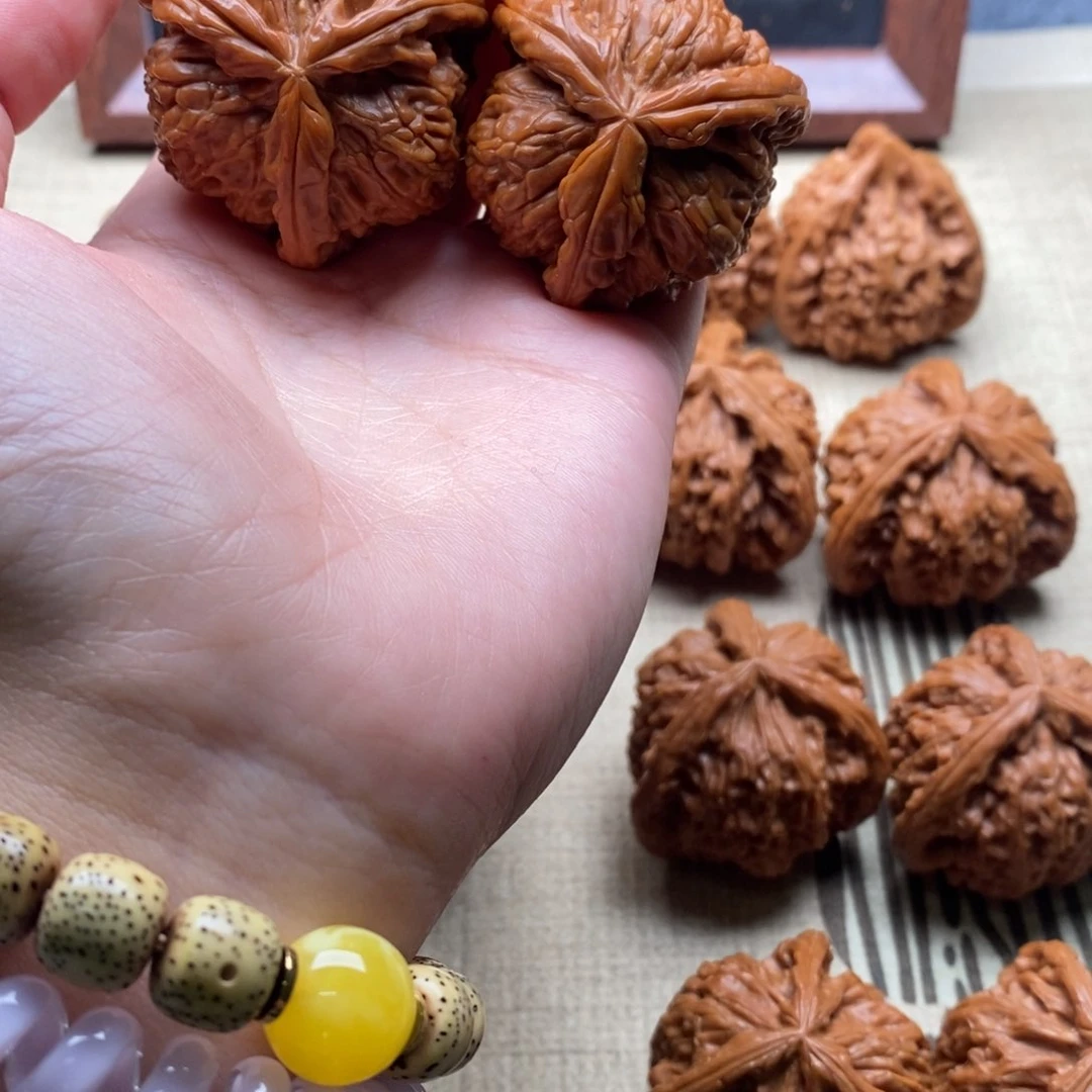 A*白狮子111111111