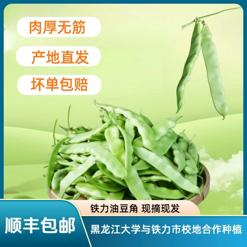 【顺丰包邮】黑龙江大学冯教授团队培育选育东北油豆角 现摘现发