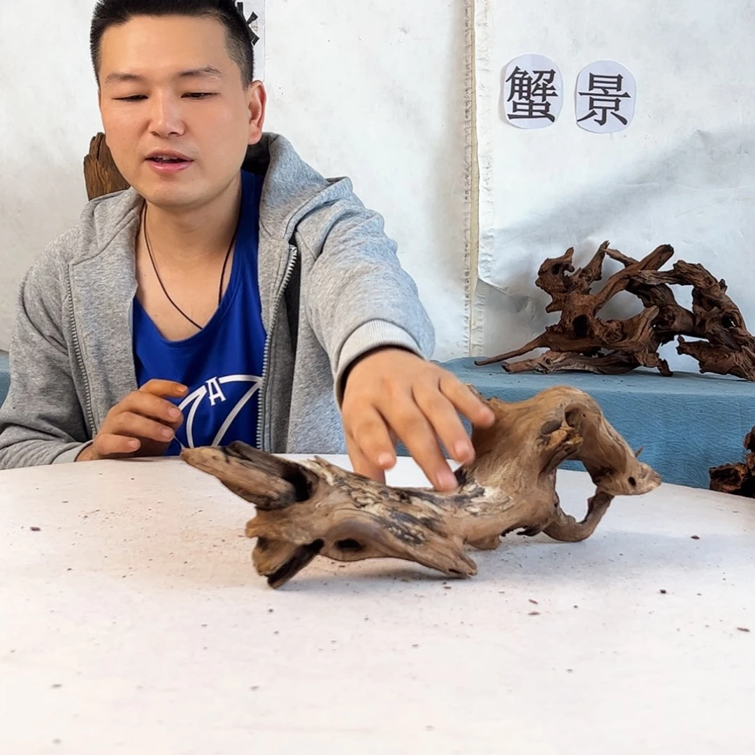 沉木造景爬宠造景