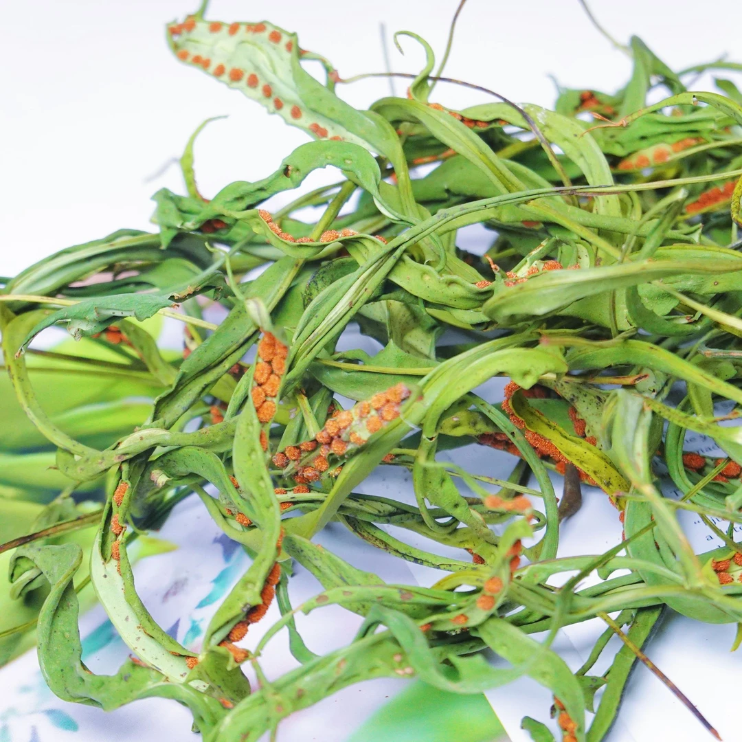 【共发3袋】化石草肾精草云南黄金草正宗嗷嗷叫50g一袋