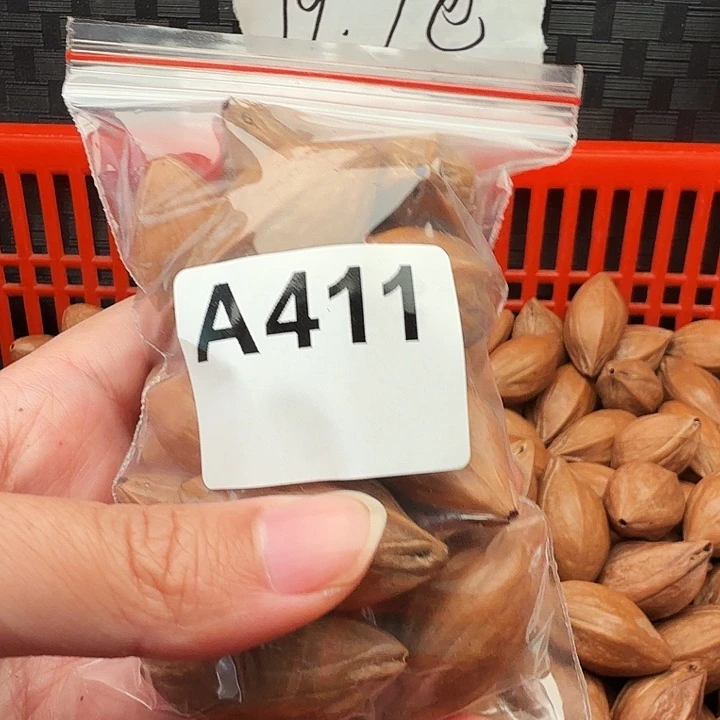 橄榄核吊坠橄榄油核