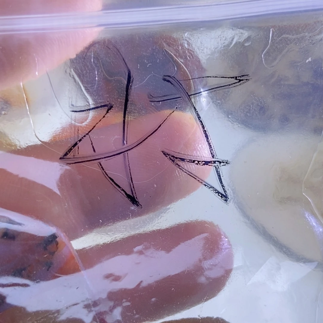 【闪购商品】未镶嵌颈饰玛瑙/玉髓时***跑