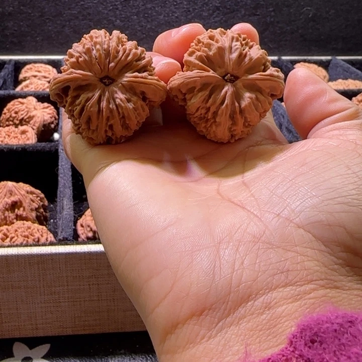 飞***斯桃核吊坠核桃核桃