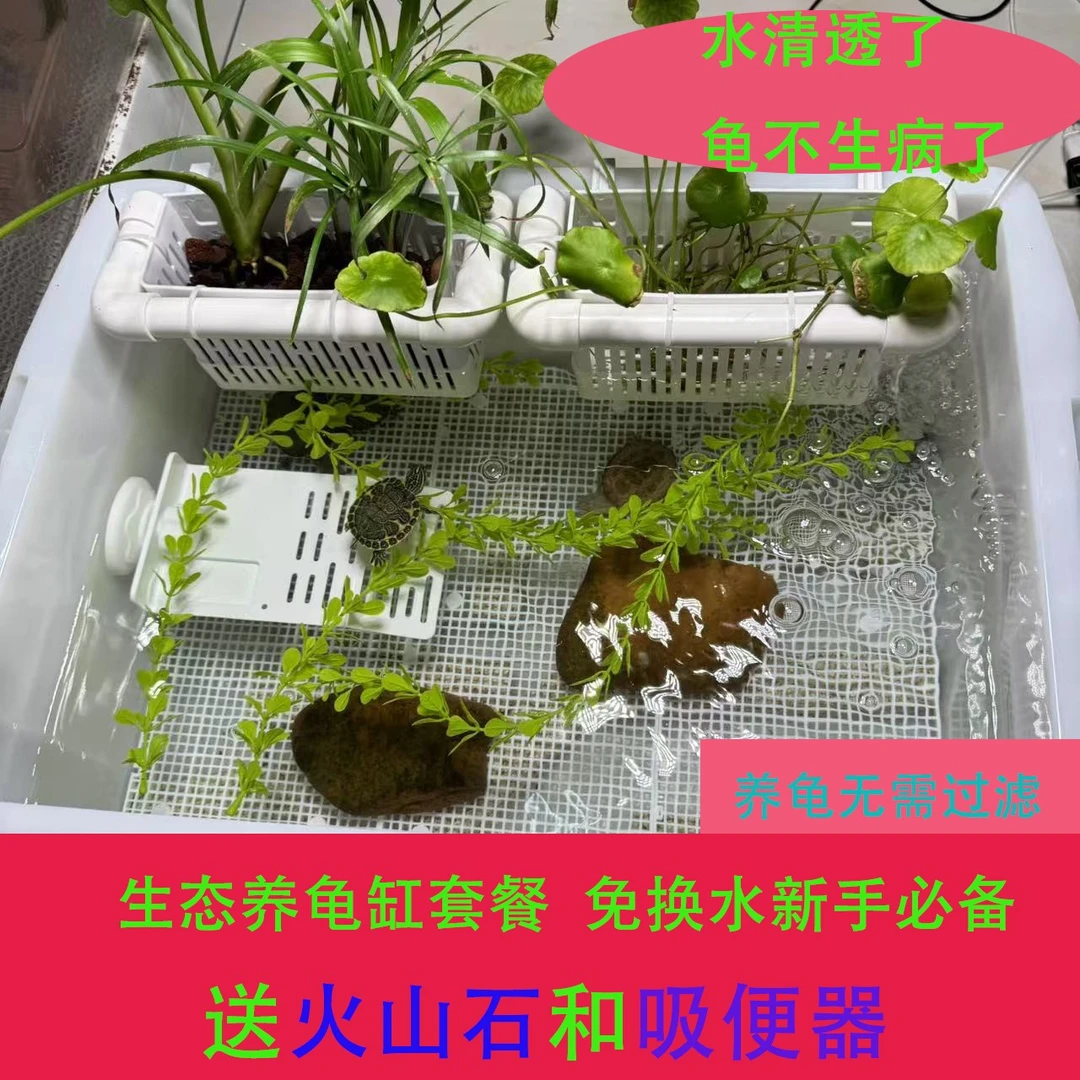 特大号家用乌龟饲养缸水陆两用带爬梯粪便分离生态造景