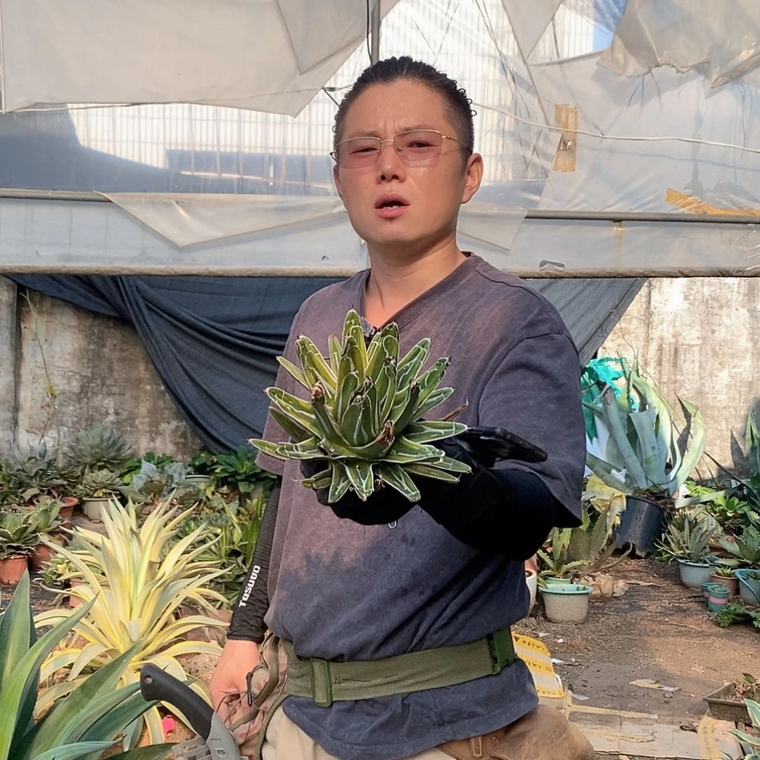 金山有瑕介意勿拍一物一拍