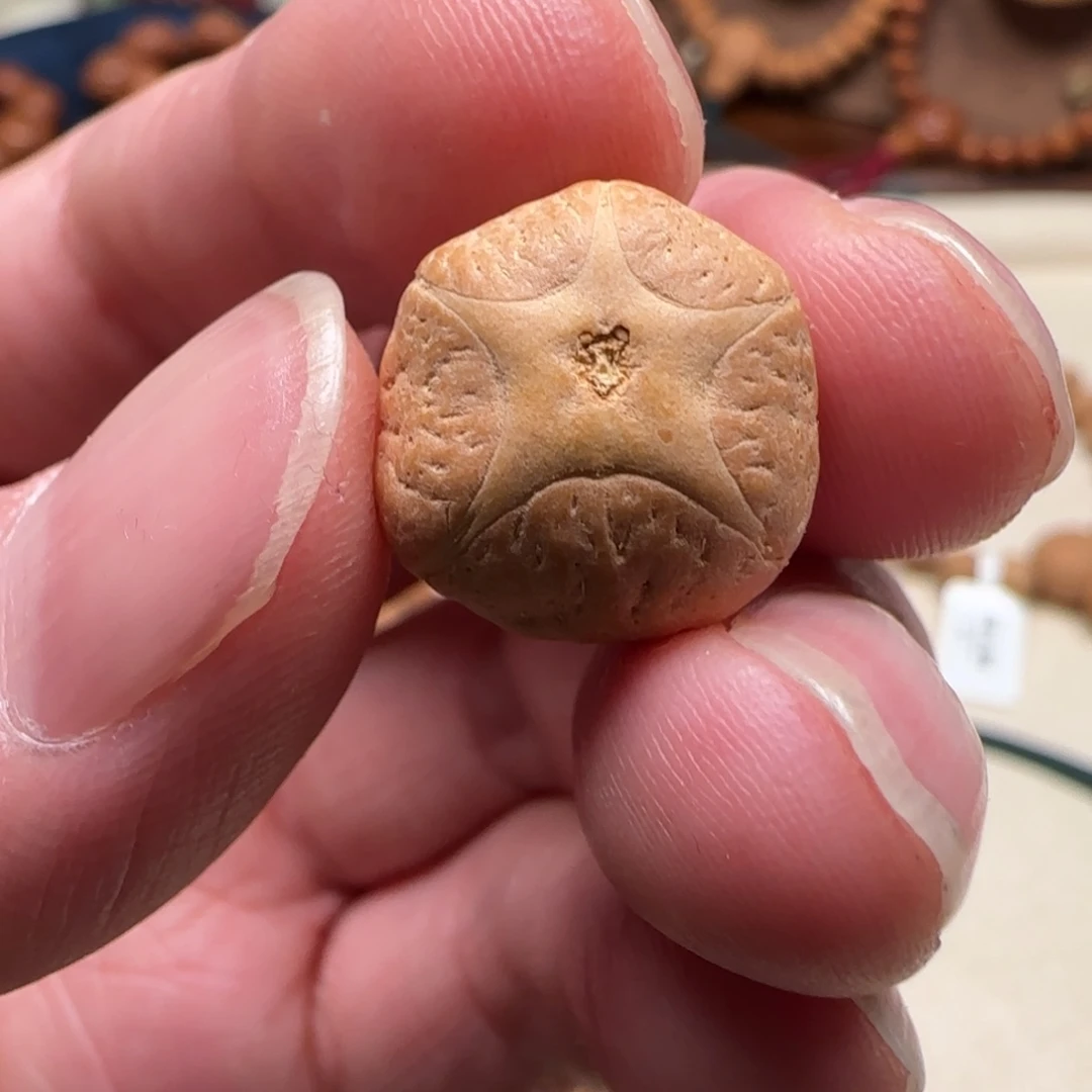 曲***干凤眼菩提吊坠1号五星