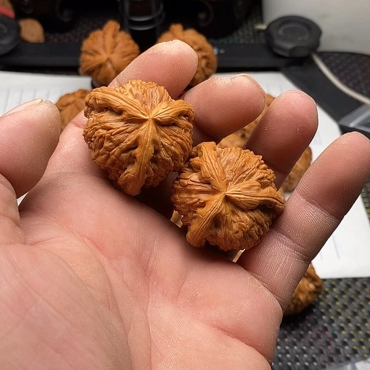 手串/手链核桃拼接白狮子9号