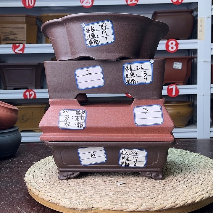 花盆紫砂你在一起