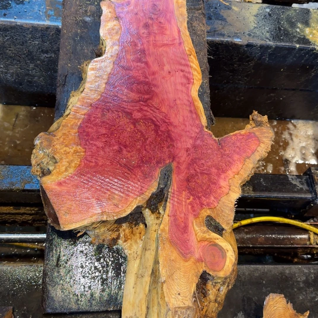 木紫罗兰树瘤切片料