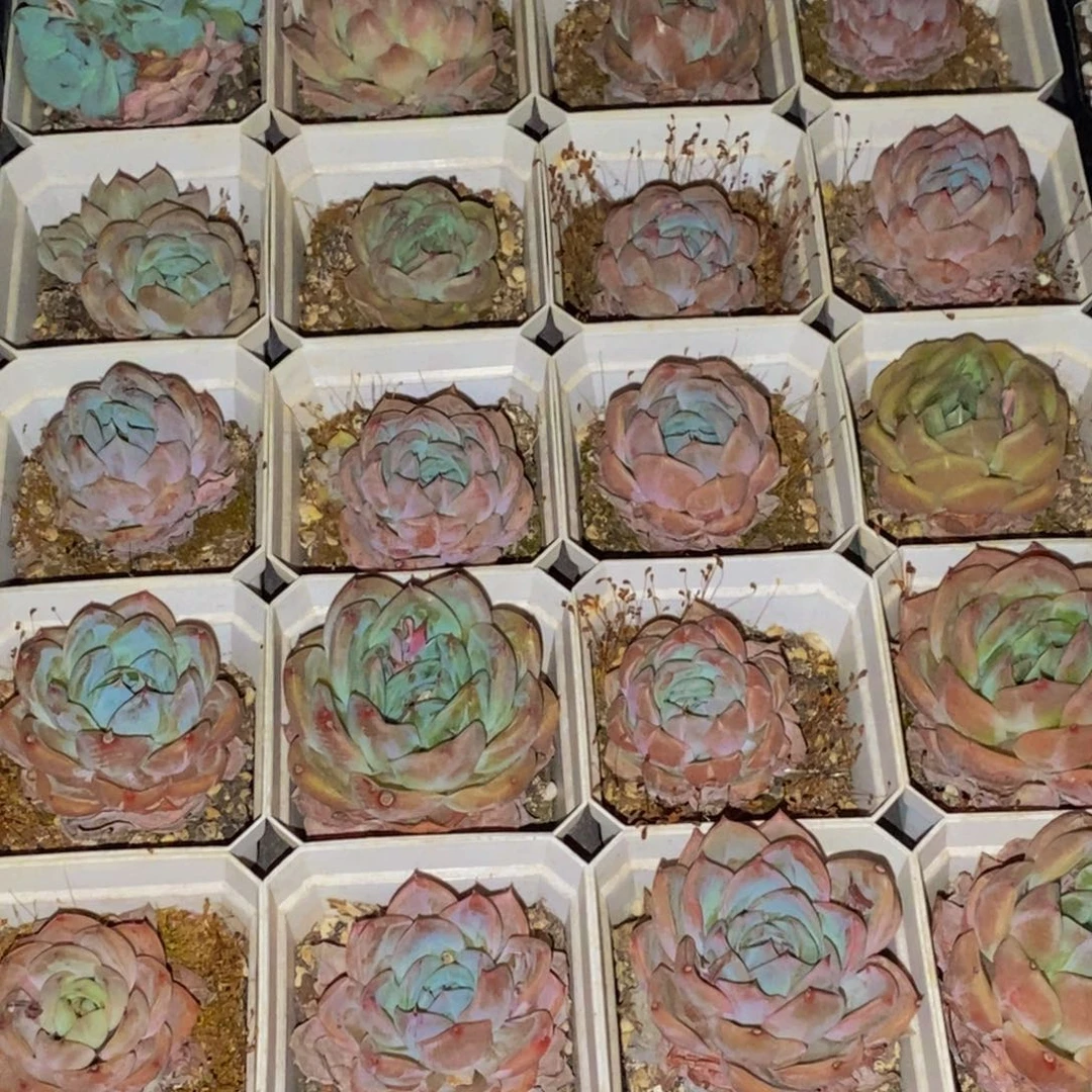 等***由560的人在一起的时候我也