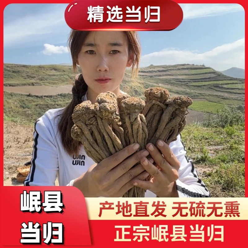 甘肃岷县 整根原条当归 无硫无熏