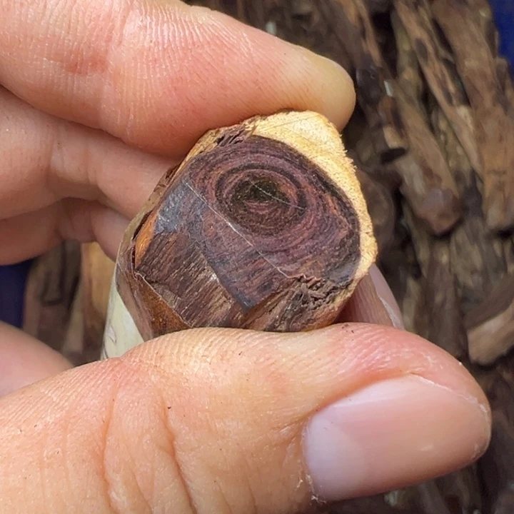 黄花梨/降香黄檀海南黄花梨老料1.2叉纹对眼