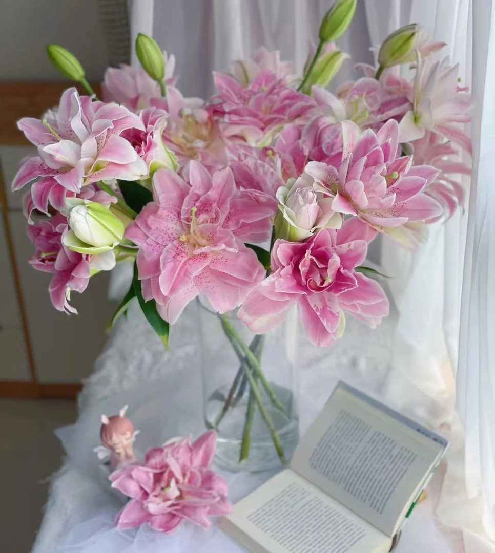 【粉拉菲重瓣香水百合】任意两单及两单以上鲜花顺丰包邮发货