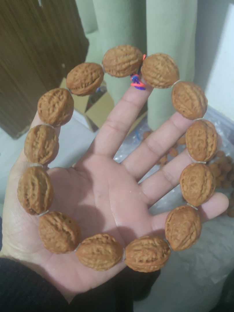 野生秋子手持（福利款）