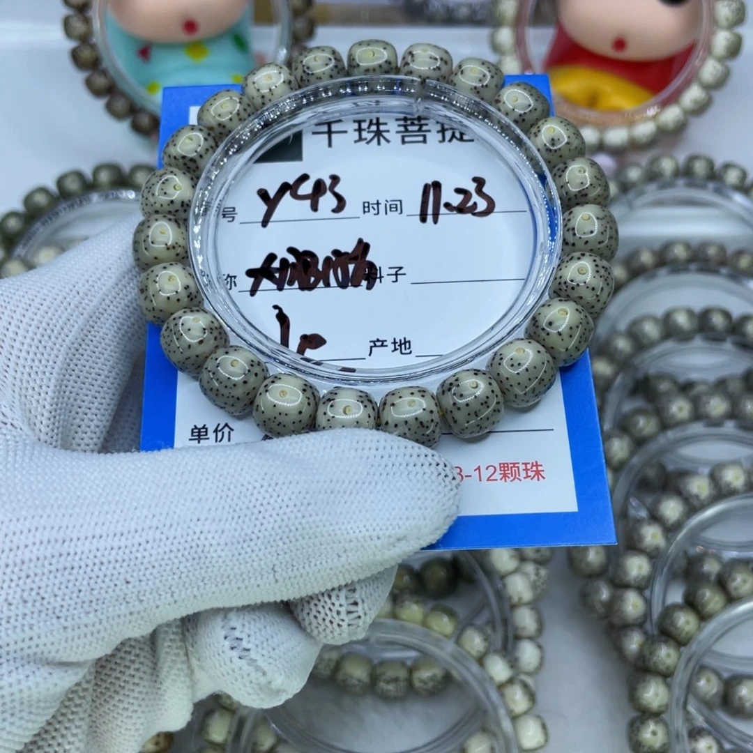 菩提籽类Y43大眼睛