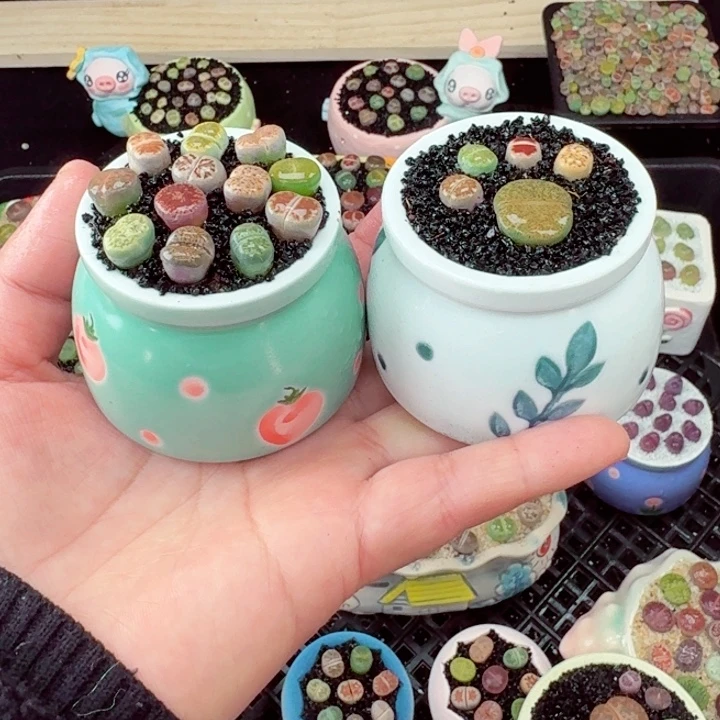 560零下地区记得拍保温箱满18包邮