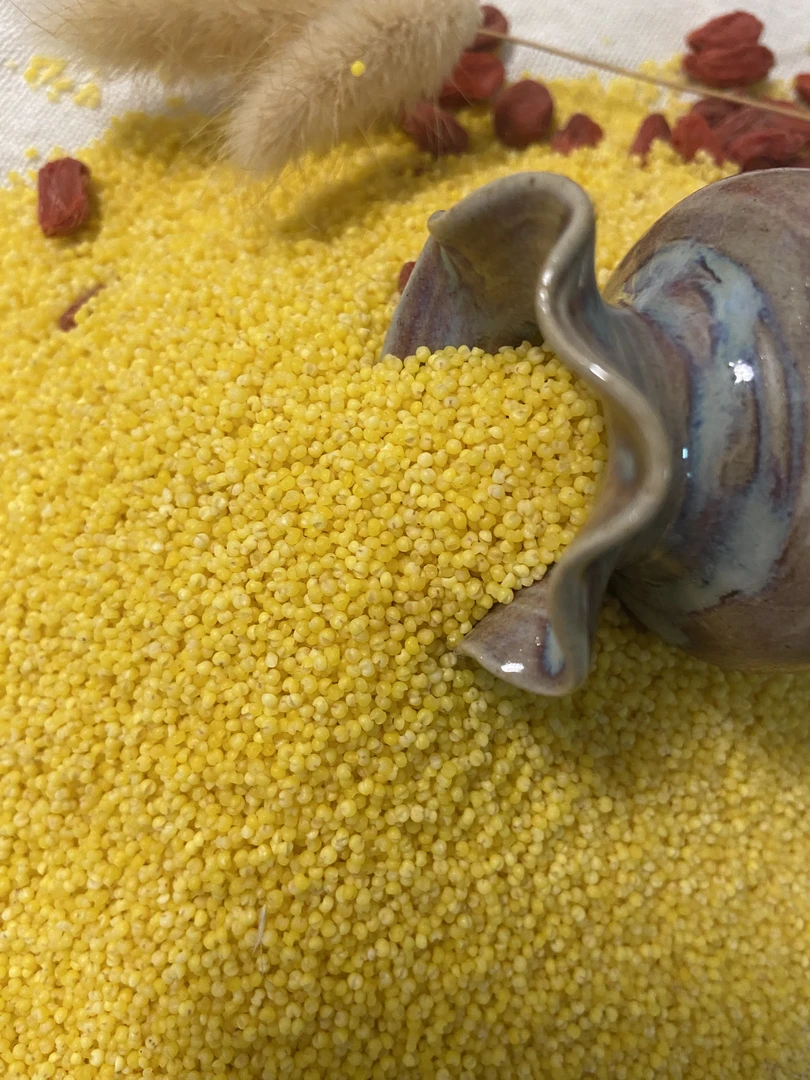 25年新米朝阳特产黄小米东北杂粮朝阳黄小米产地直供